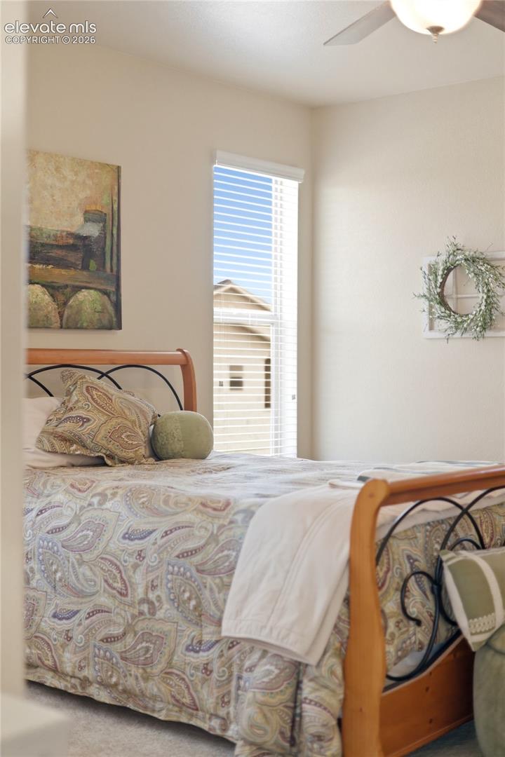 13036 Cupcake Heights, Colorado Springs — photo 19