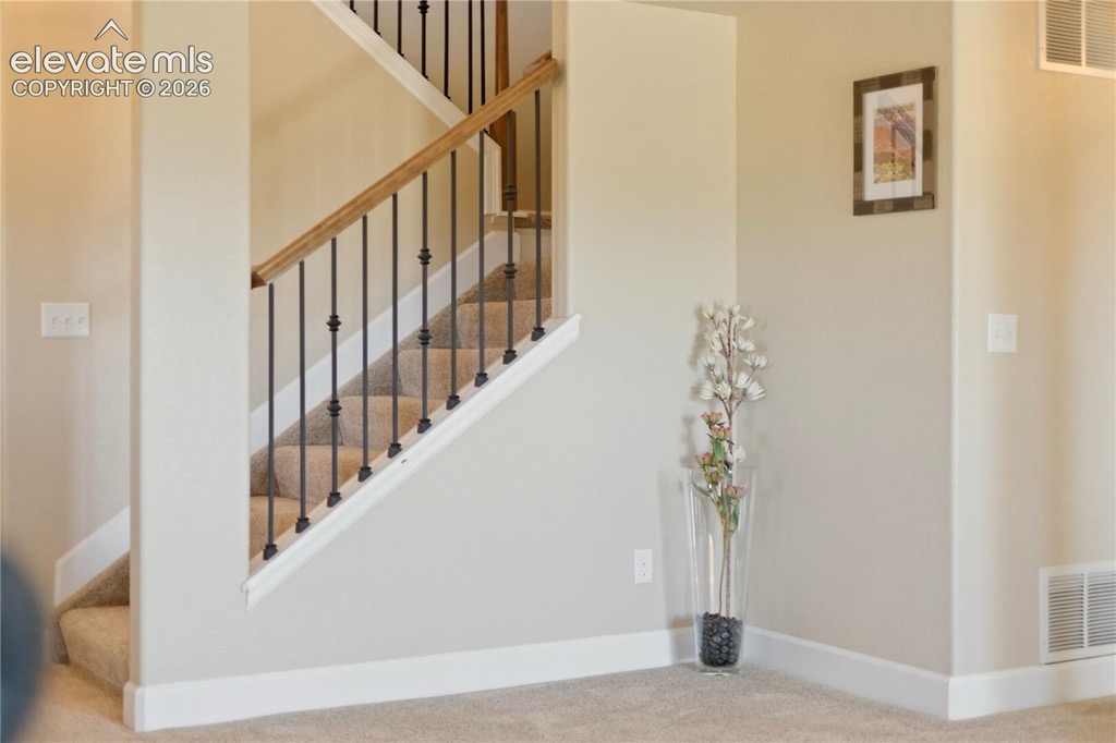 13036 Cupcake Heights, Colorado Springs — photo 33