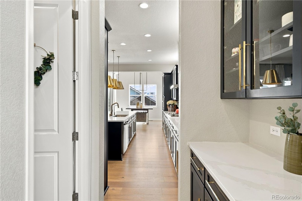 8103 Ralston Creek Avenue, Littleton — photo 18